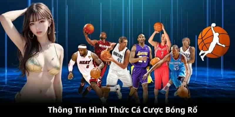 Khám phá đa dạng lựa chọn trong mỗi trận đấu