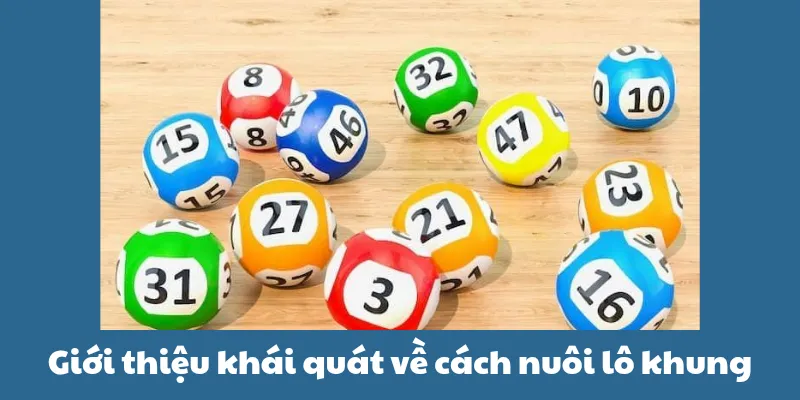 Đôi chút thông tin về cách nuôi lô đề