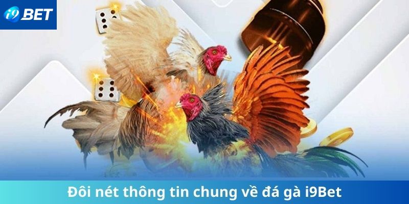 Giới thiệu sơ qua đá gà Campuchia