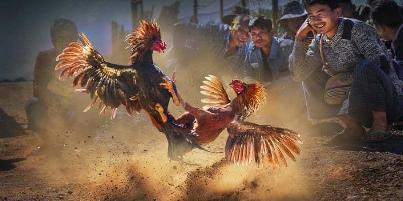 Nguyên tắc thi đấu cơ bản cần nắm khi tham gia
