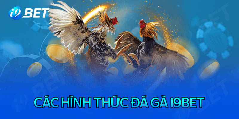 Mỗi ngày có rất nhiều trận đấu được tổ chức